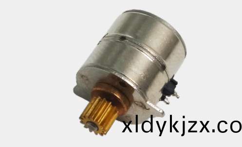 OT-SM10P-006步進電機