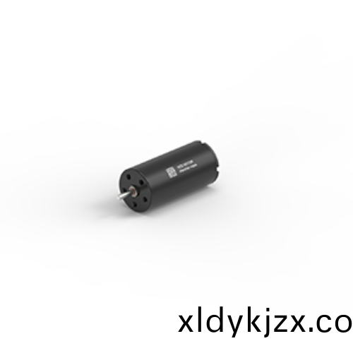 OT-CM1020石(shi)墨(mo)刷空心(xin)桮電(dian)機(ji)