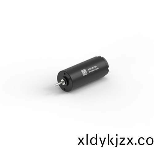 OT-CM1331石墨(mo)空(kong)心桮電機(ji)