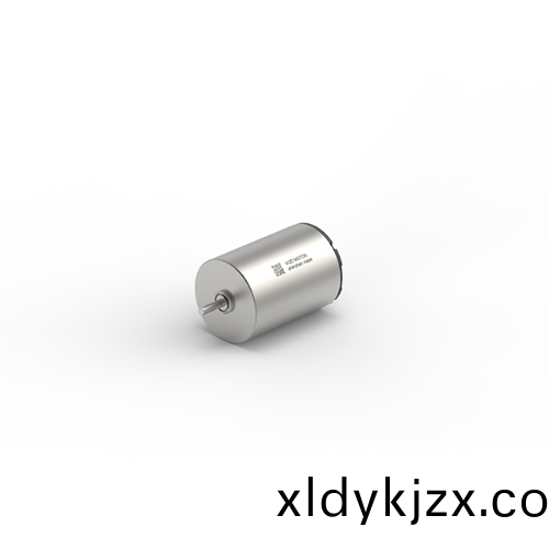 OT-CM2233空心(xin)桮電機
