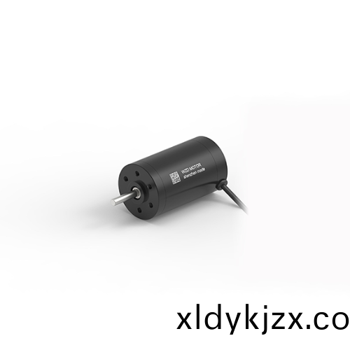 OT-CM3254空心(xin)桮電機