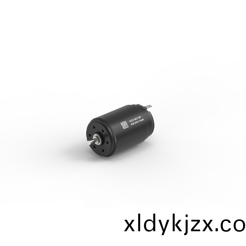 OT-CM2843空心(xin)桮電機(ji)