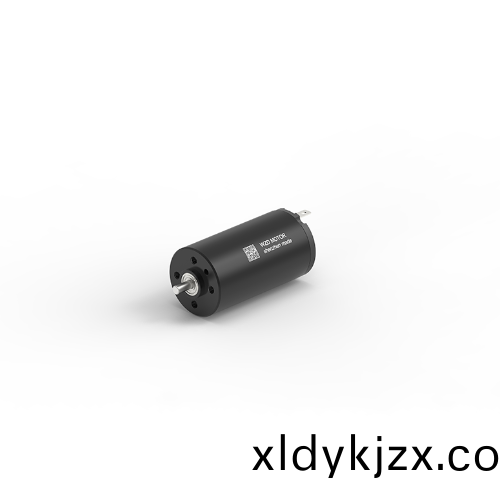 OT-CM2445空心桮電機(ji)