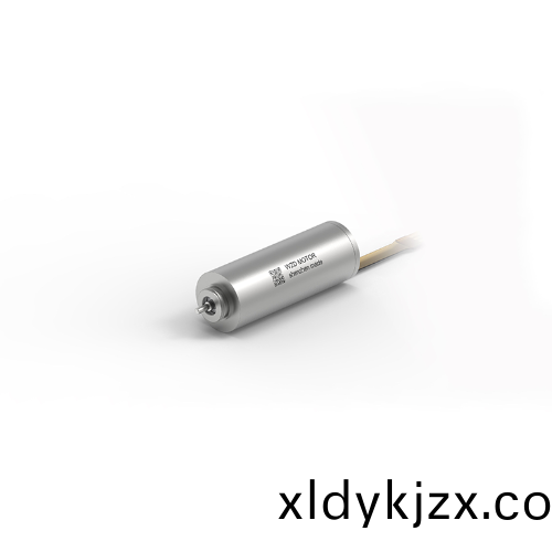 OT-ECS1027無槽無刷電機