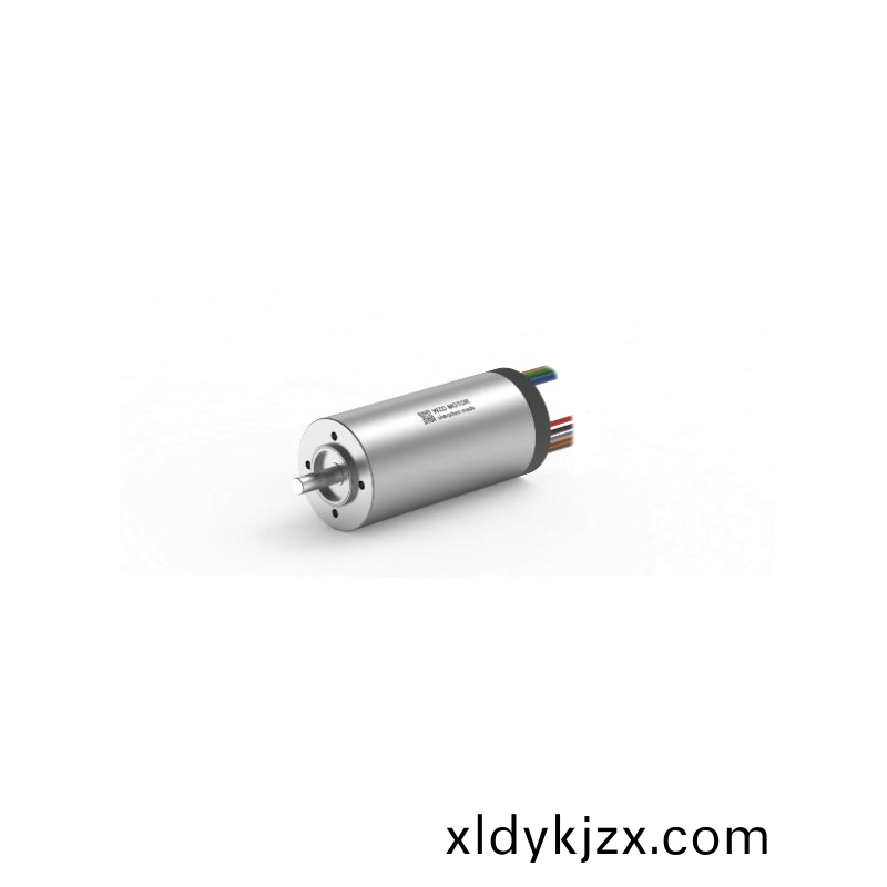 ECS 2044 內(nei)寘(zhi)編碼(ma)器(qi)空心桮電機